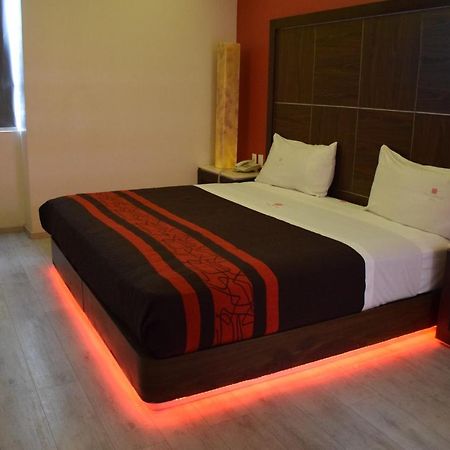 Plutarco Suites Kota Meksiko Bagian luar foto